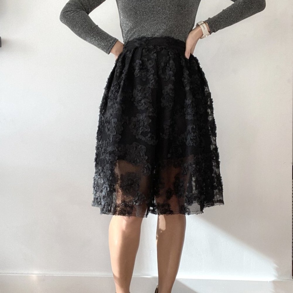 Embroidered applique midi mesh skirt